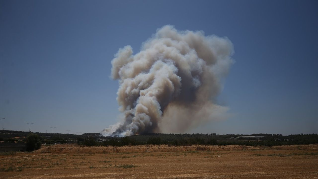 Çanakkale'de Orman Yangınına Müdahale Devam Ediyor