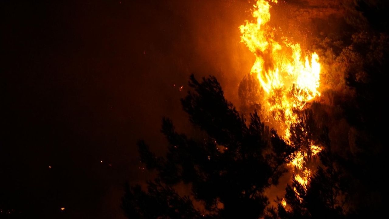 Çanakkale'de Orman Yangınına Müdahale Devam Ediyor