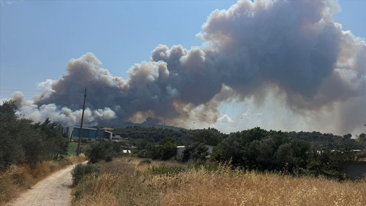 Çanakkale'deki Orman Yangınına Hızla Müdahale Ediliyor