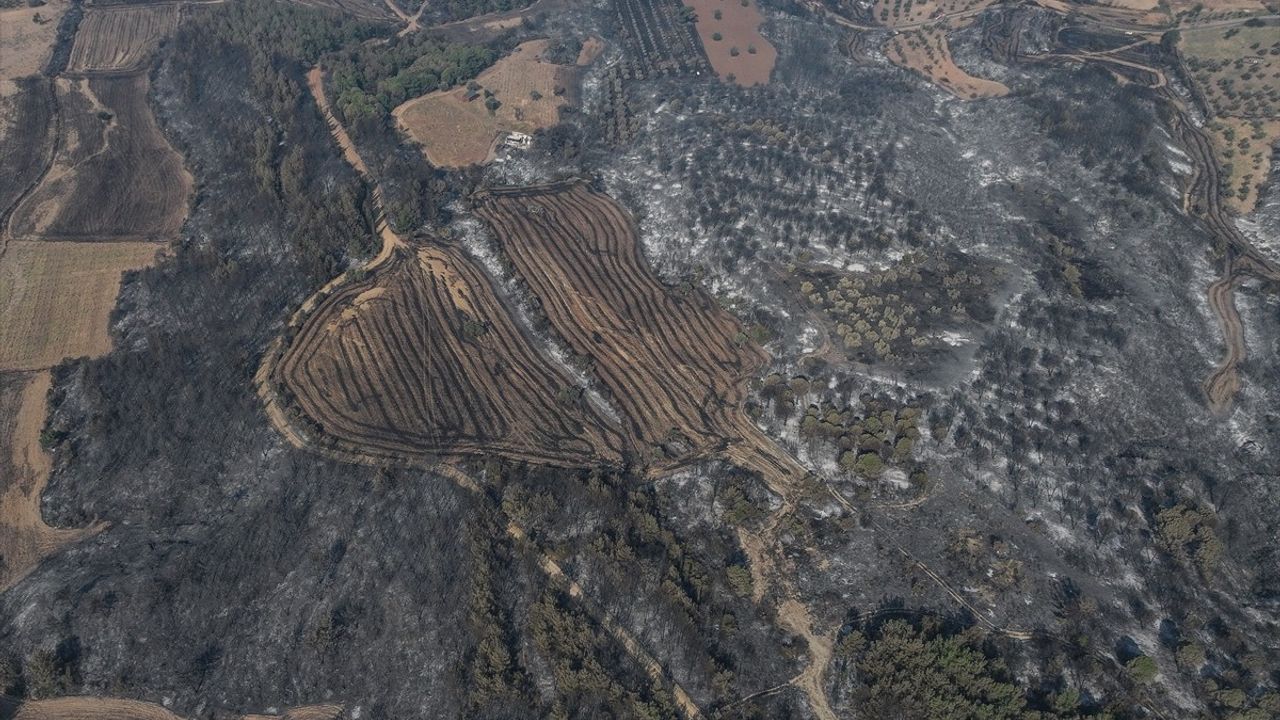 Çanakkale'deki Yangın Drone ile İncelendi