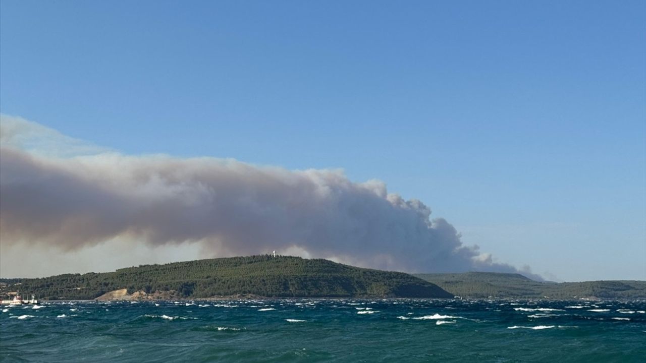 Çanakkale Gelibolu'daki Orman Yangınına Müdahale Başladı