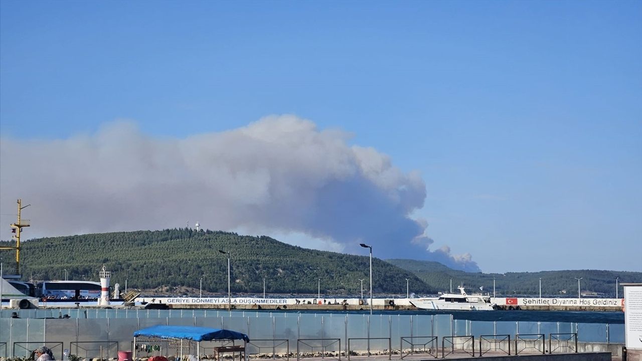 Çanakkale Gelibolu'da Orman Yangınına Müdahale