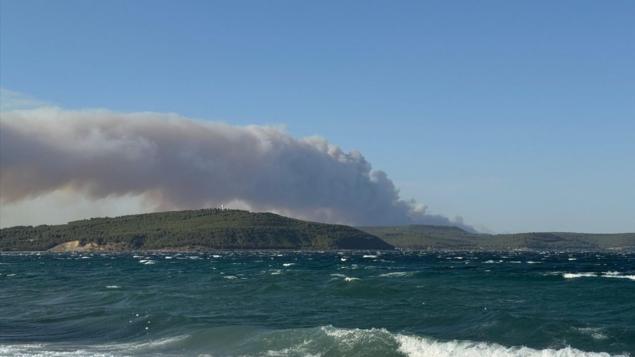 Çanakkale Gelibolu'daki Orman Yangınında Müdahale Çalışmaları Devam Ediyor