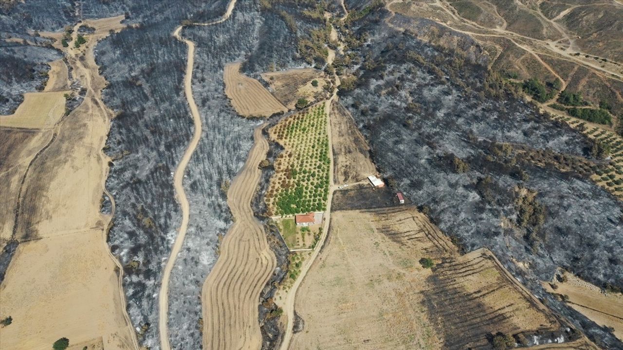 Çanakkale Gelibolu Yangını ve Tarım Arazileri