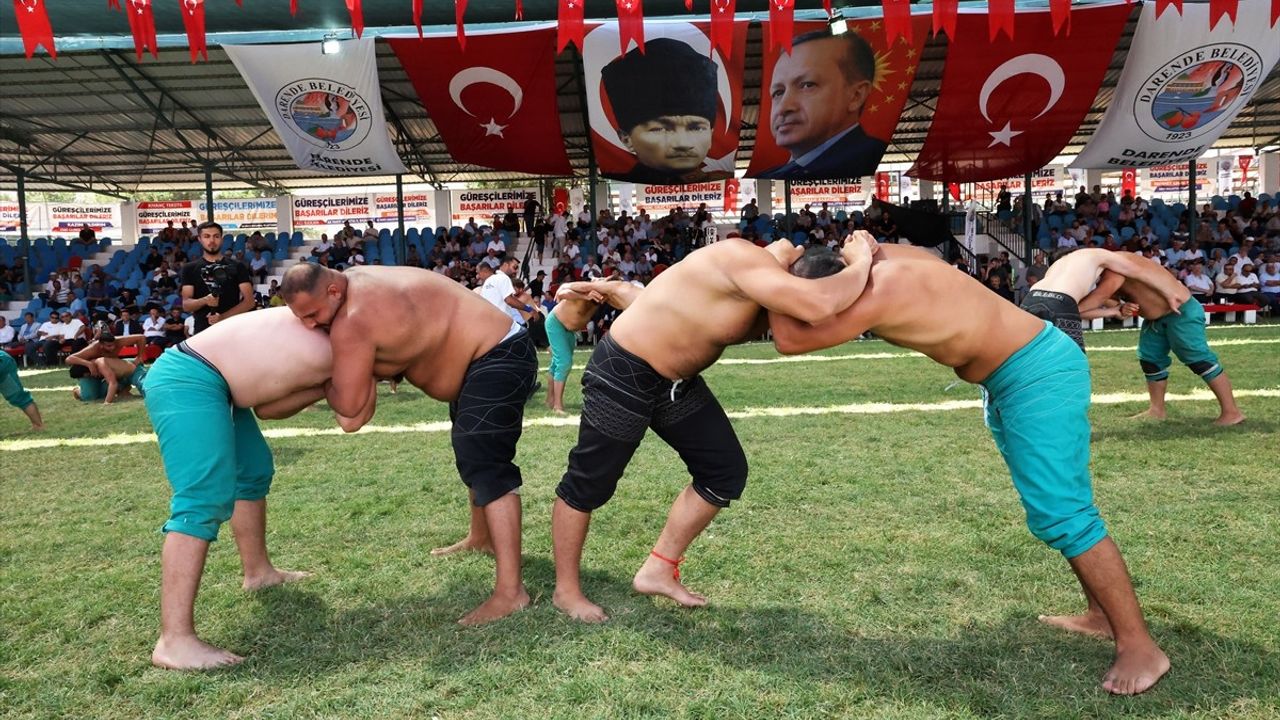 Darende'de Zengibar Karakucak Türkiye Şampiyonası Heyecanı
