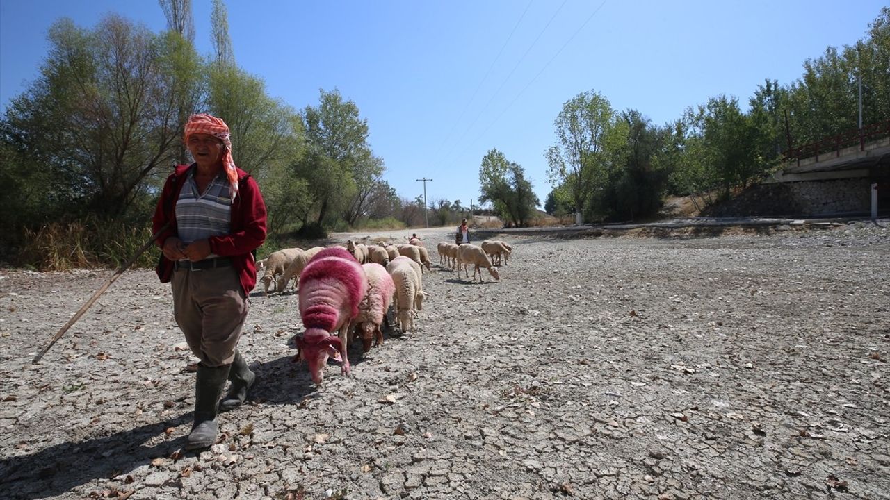 Denizli'de 852 Yıllık Geleneğin Sembolik Kutlaması