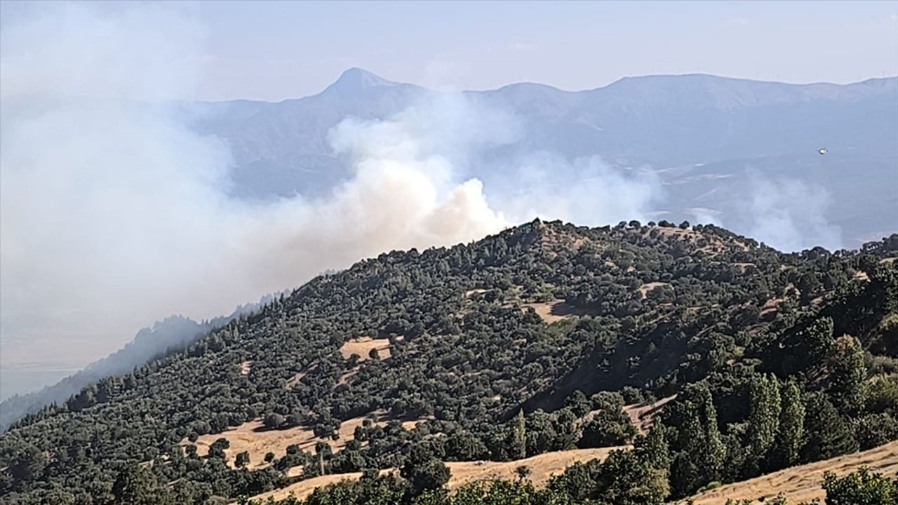 Denizli'de Orman Yangınına Müdahale Devam Ediyor