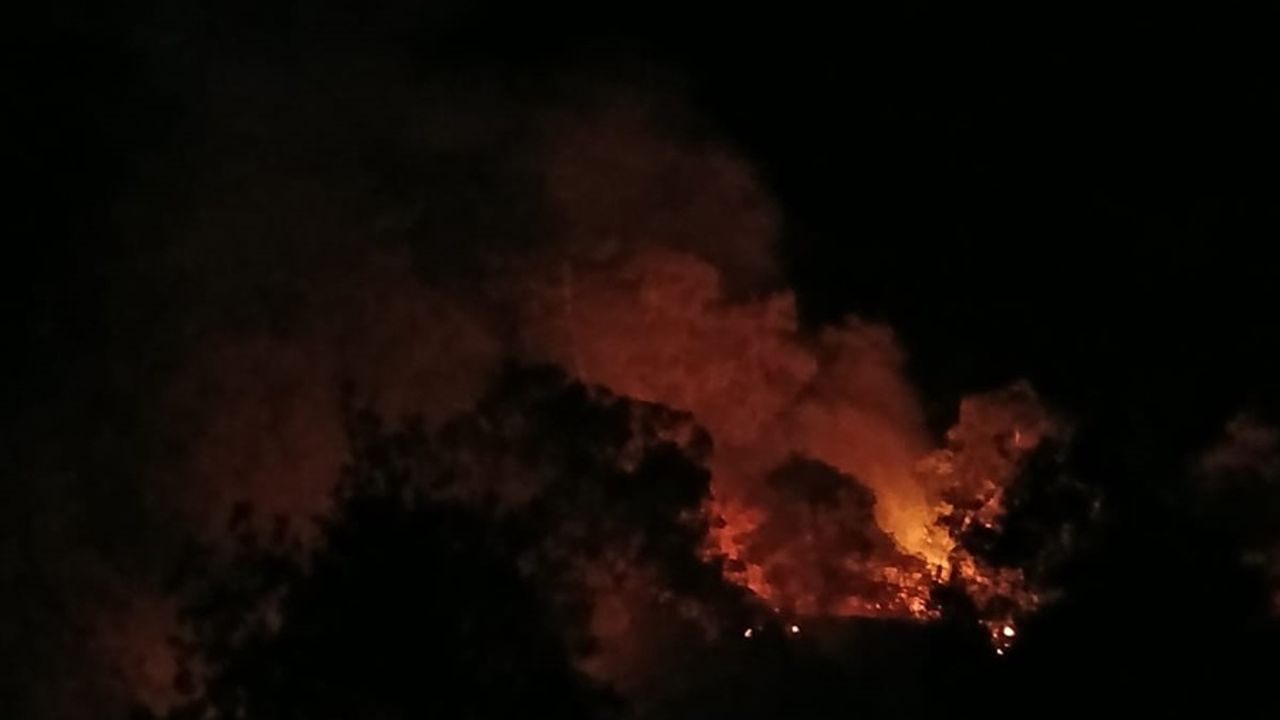Denizli'deki Orman Yangını Kontrol Altında