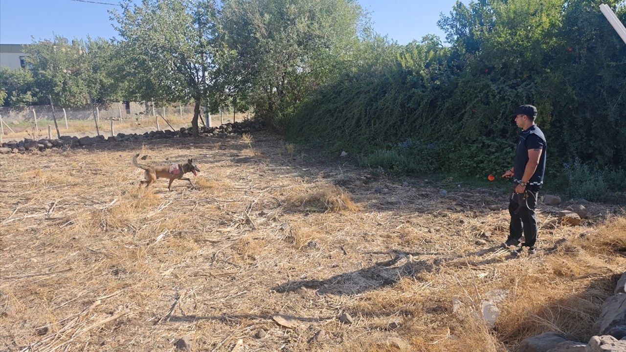 Diyarbakır'da Arazi Anlaşmazlığı Nedeniyle Silahlı Kavga: 2 Ölü, 4 Yaralı