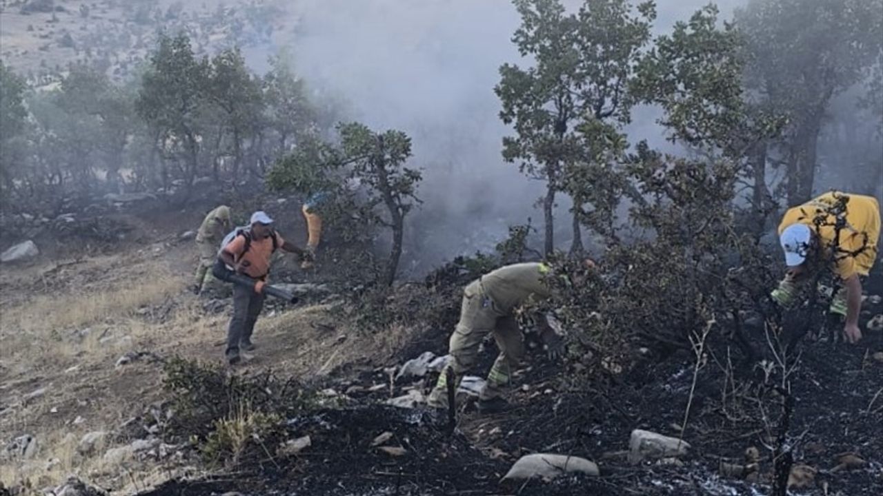 Diyarbakır'da Orman Yangını Söndürüldü