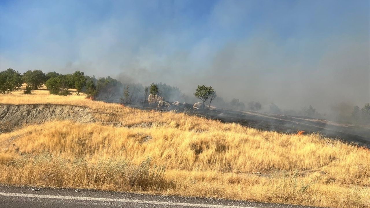 Diyarbakır'da Orman Yangınlarına Müdahale