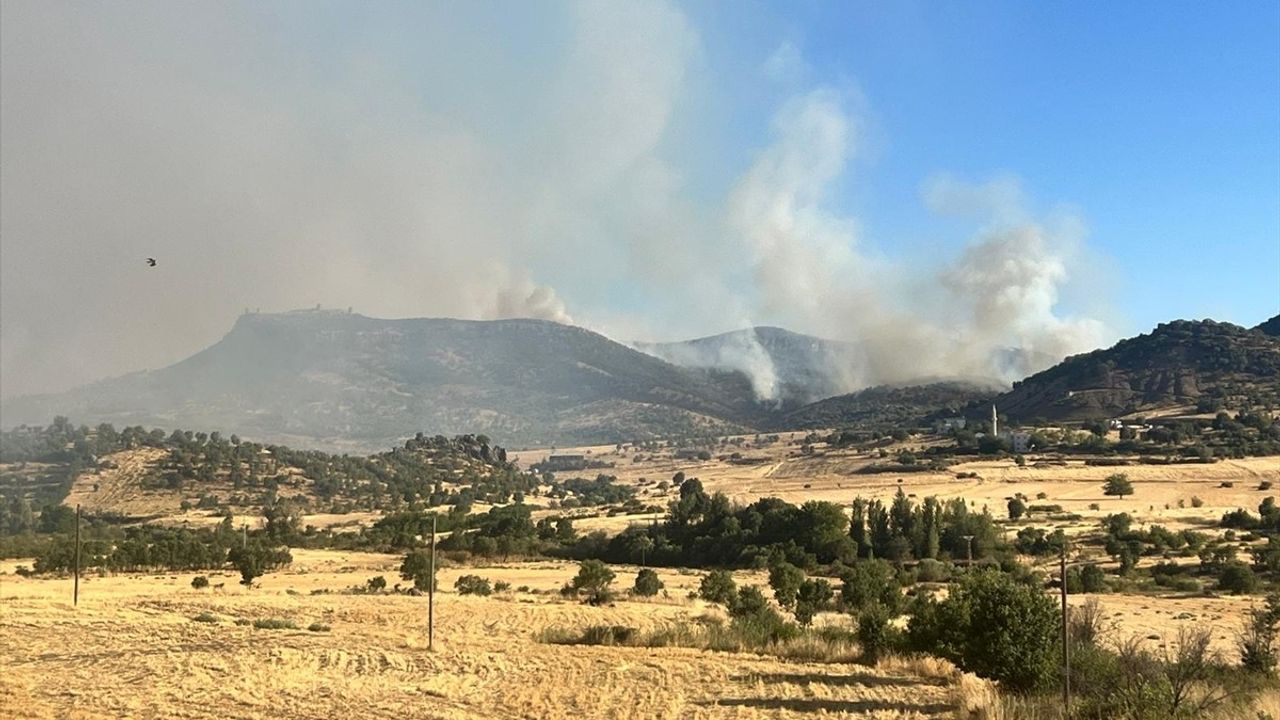Diyarbakır Kırsalında Çıkan Yangına Müdahale Devam Ediyor