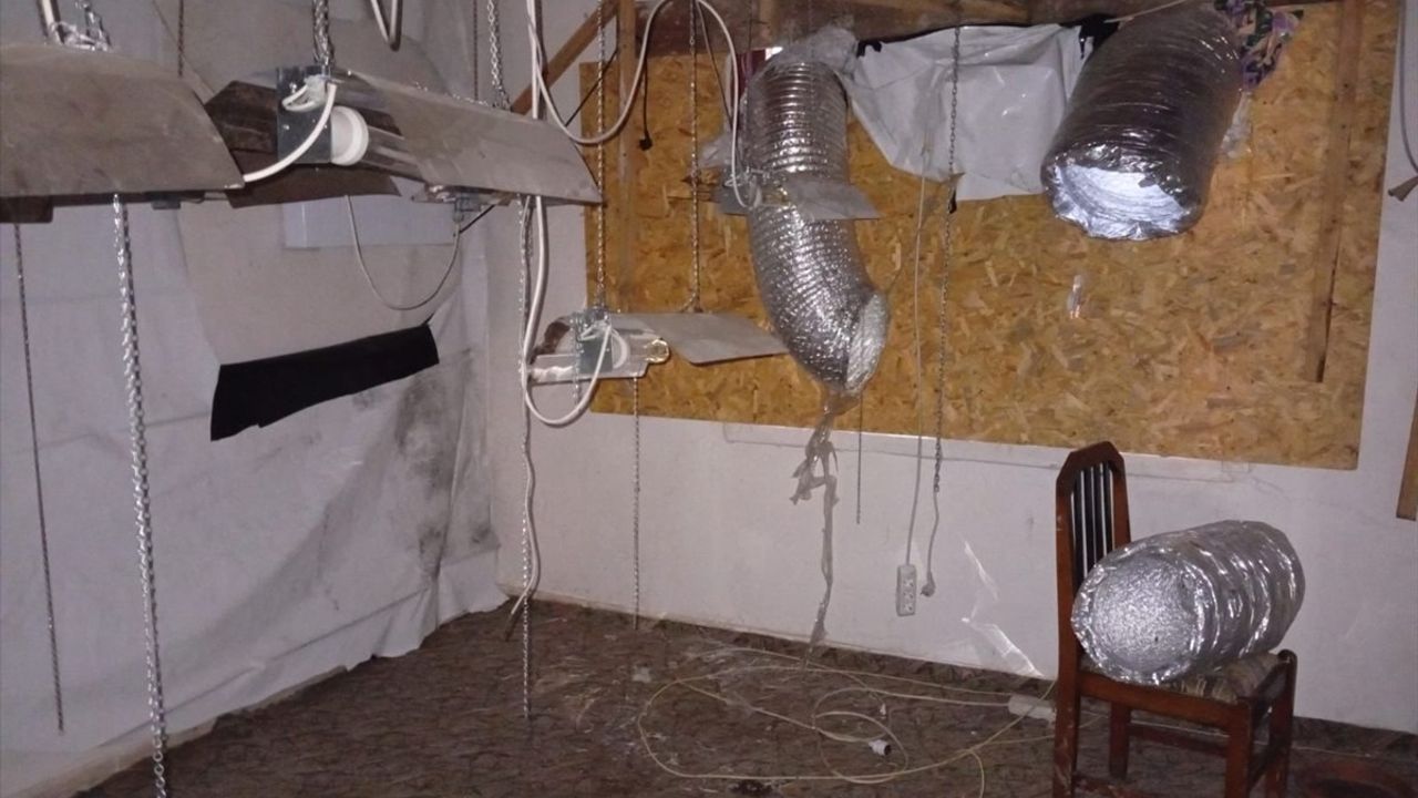 Düzce'de Kenevir Yetiştiriciliği ile Gözaltı
