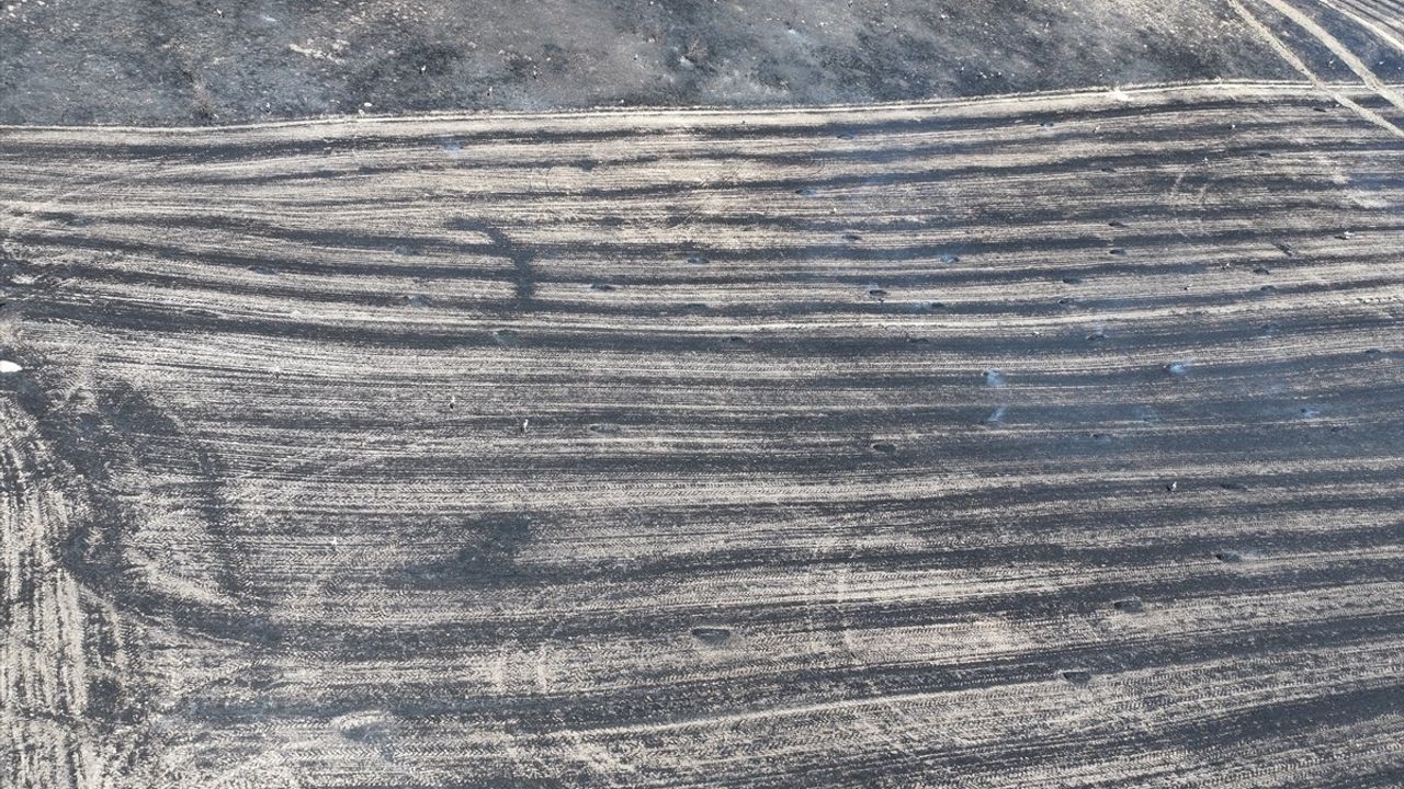 Edirne'de Anız Yangını Kontrol Altına Alındı