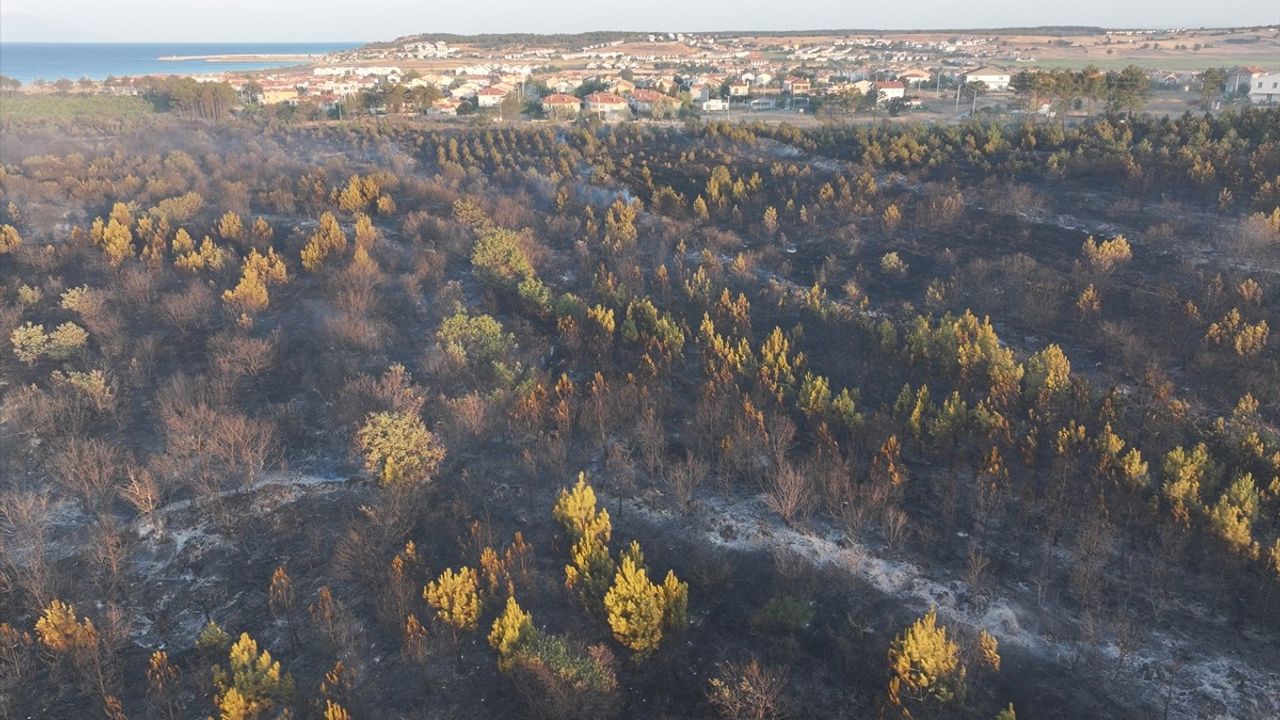 Edirne'deki Orman Yangını Kontrol Altına Alındı