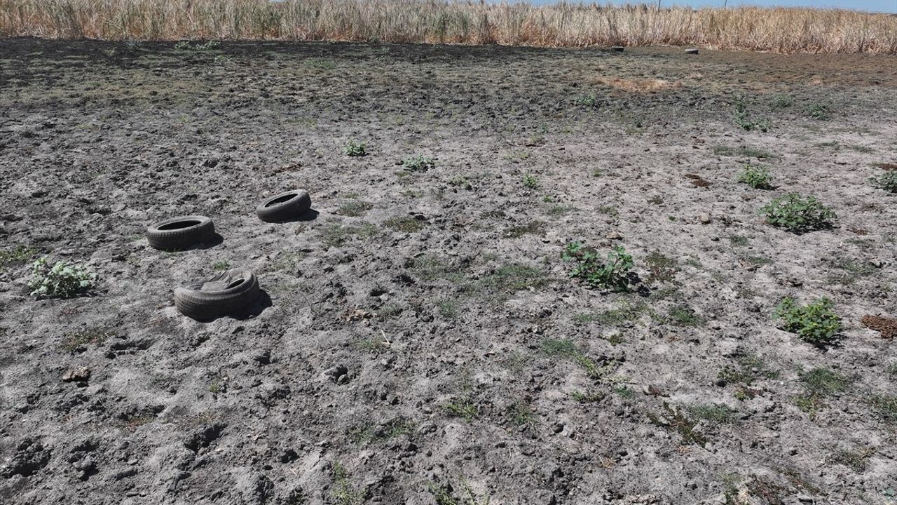 Edirne'deki Yağcılı Göleti Kurudu, Kuraklık Hayvancılığı Tehdit Ediyor