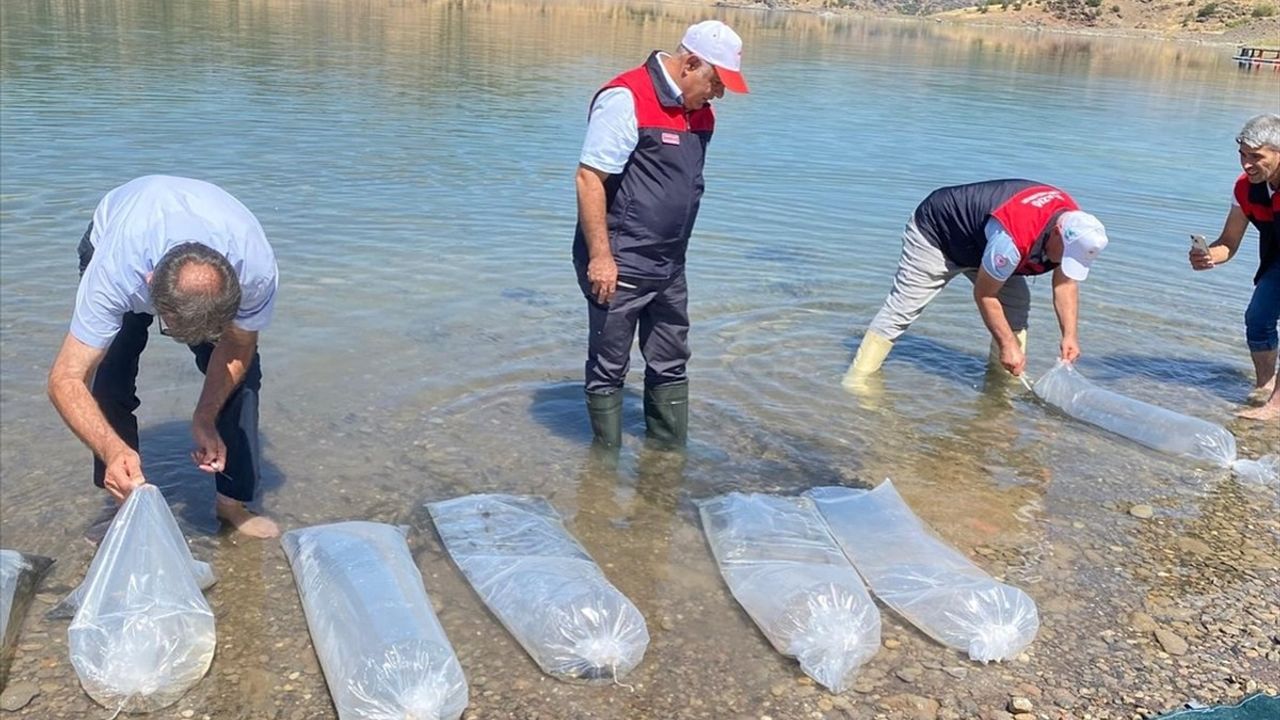 Elazığ'da 17 Milyon Yavru Sazan İç Sulara Buluşturulacak
