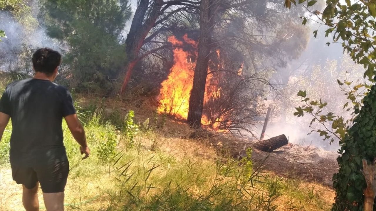 Erdek'teki Orman Yangını Kontrol Altına Alındı
