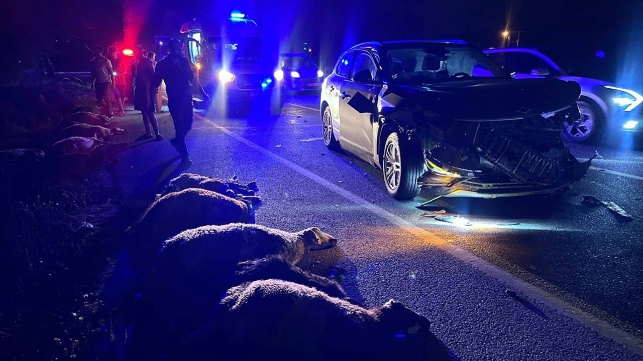 Erzincan'da Korkunç Kaza: 23 Küçükbaş Hayvan Telef Oldu