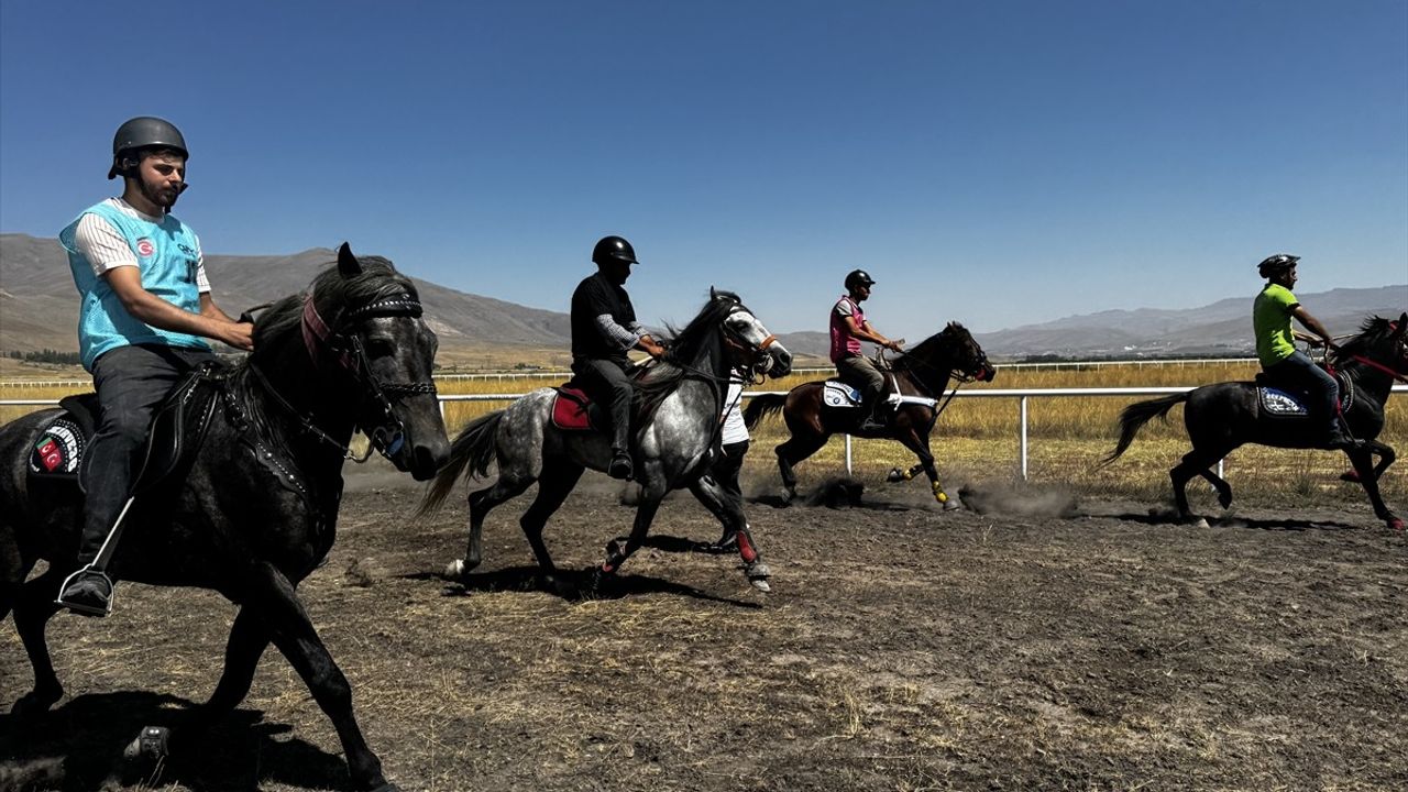 Erzurum'da Geleneksel Rahvan At Yarışları Heyecanı