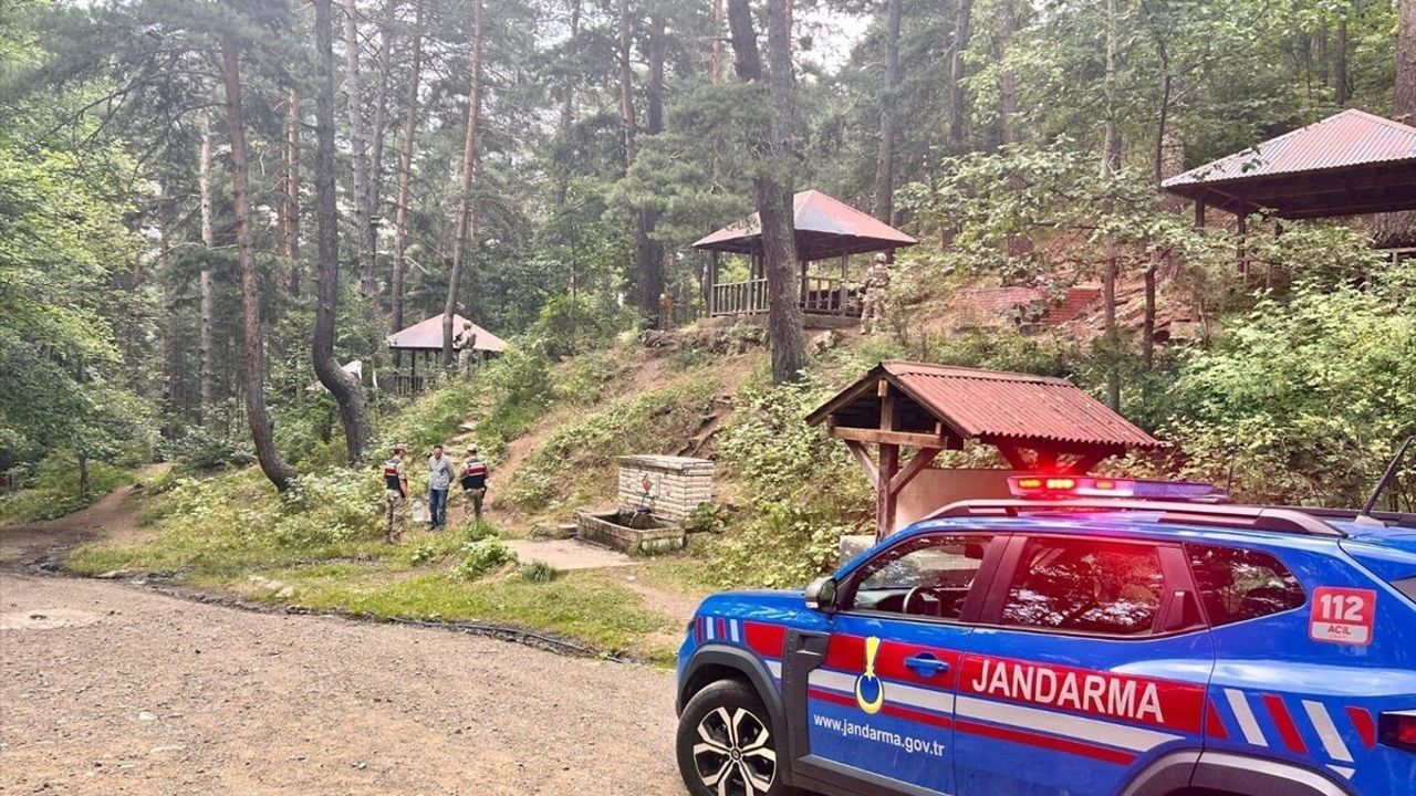 Erzurum'da Ormanlık Alanda Mangal Yakanlara Ceza