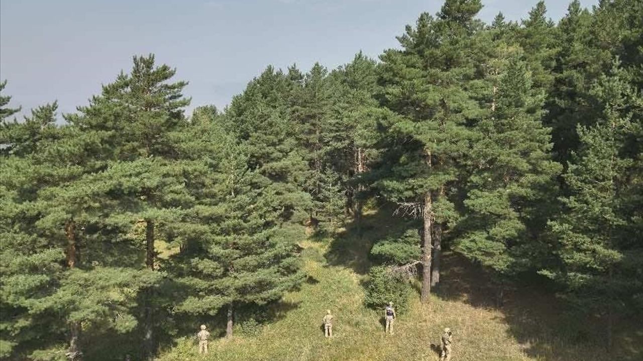 Erzurum'da Ormanlık Alanlarda Mangal Yanlışlığına Ceza