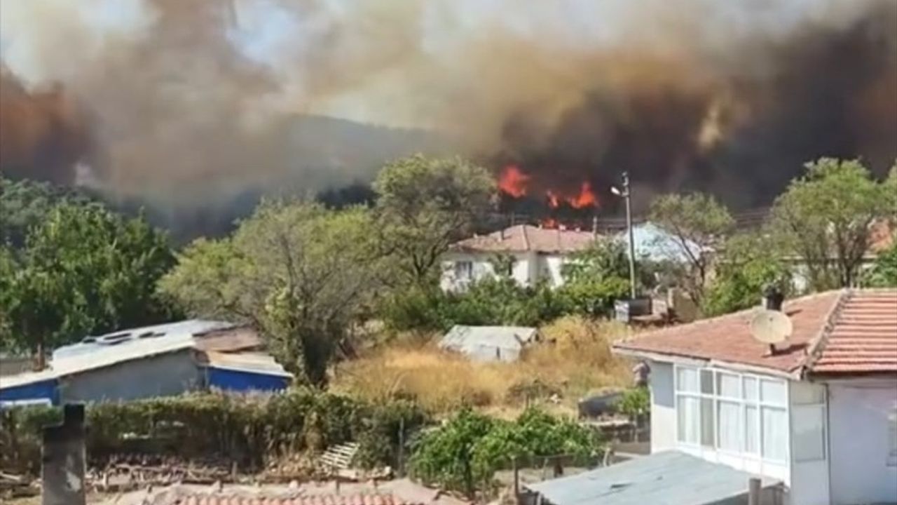 Gelibolu'daki Orman Yangınına Müdahale Devam Ediyor