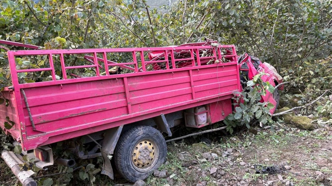Giresun'da Fındık Bahçesine Devrilen Kamyonet Kazası