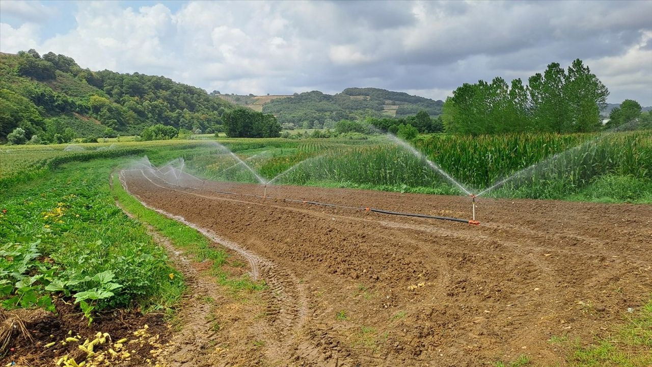 Gökçeören Ovası'na Arıtılmış Su ile Tarımsal Kurtuluş