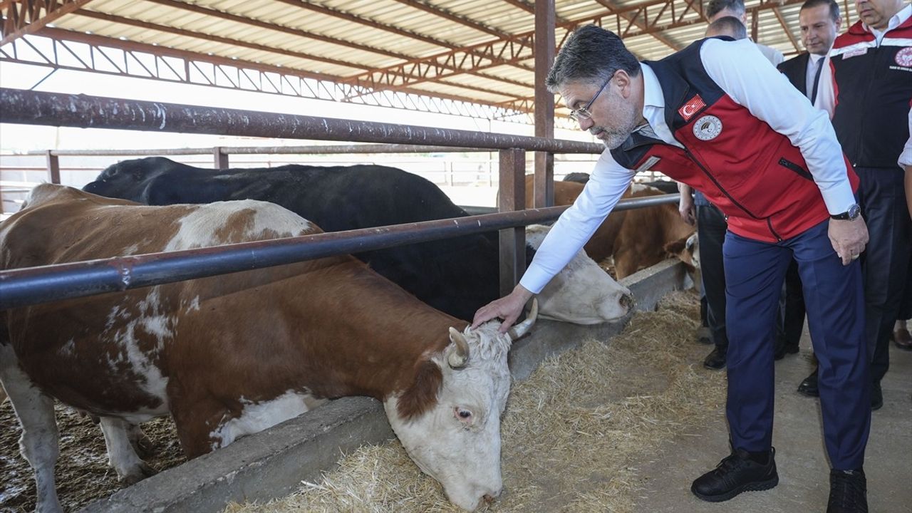 Güçlü Besi Güçlü Üretim Projesi ile Yerli Üretim Artacak