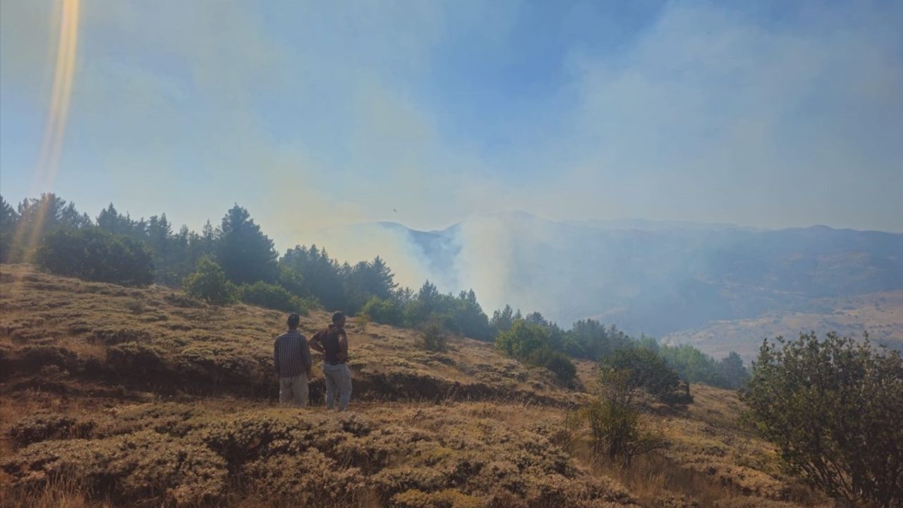 Gümüşhane'de Orman Yangınına Müdahale Devam Ediyor