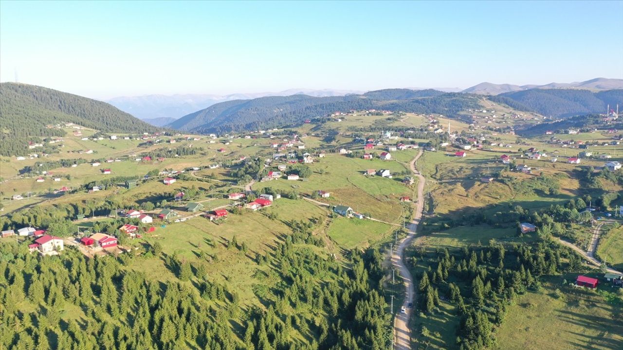 Haçka Yaylası: Trabzon'un Doğa Cenneti