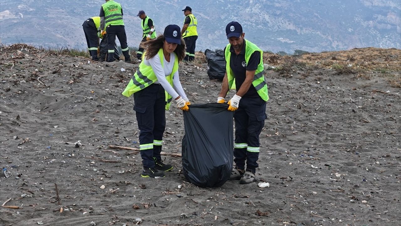 Hatay'da Deniz Kaplumbağası Yavruları için Sahil Temizliği