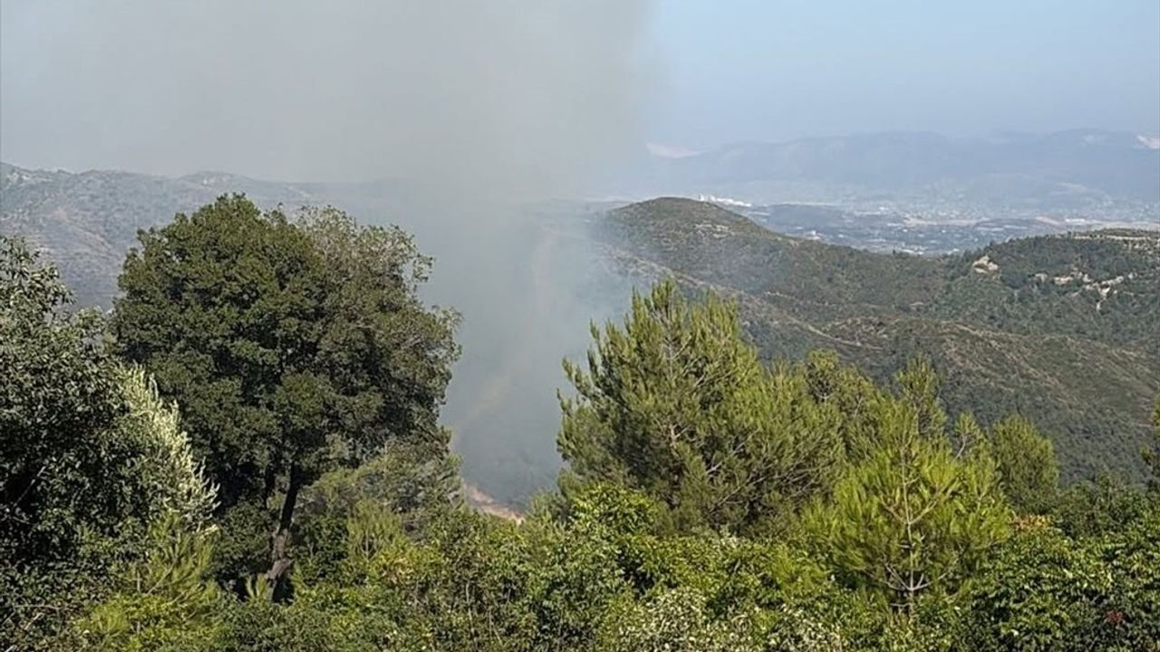 Hatay'da Orman Yangını Kontrol Altına Alındı