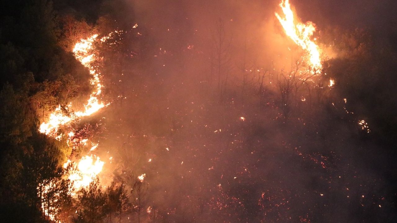 Hatay'da Orman Yangını: Müdahale Devam Ediyor