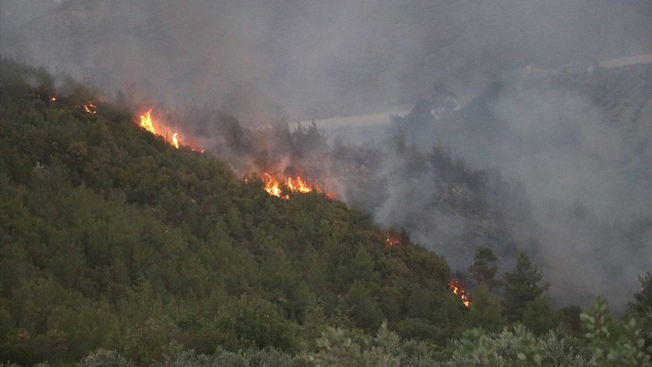 Hatay'daki Orman Yangını Kontrol Altında