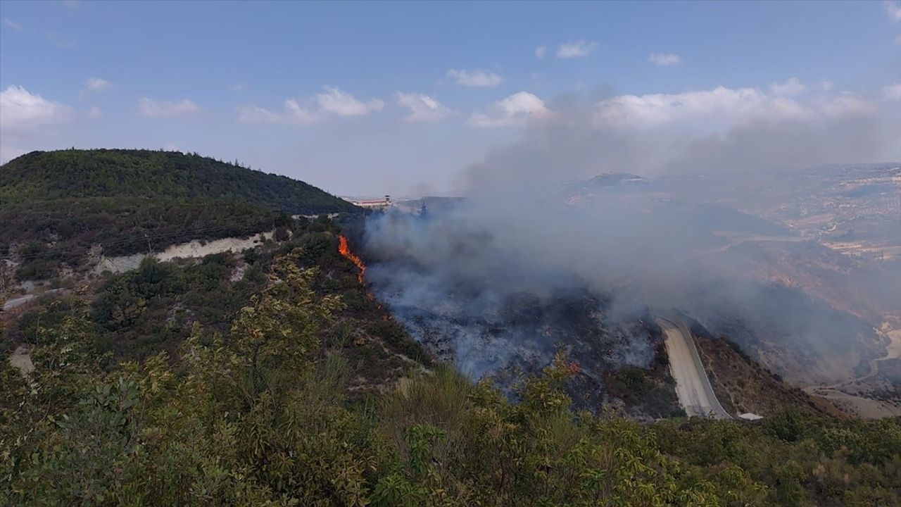Hatay Yayladağı'ndaki Orman Yangını Kontrol Altına Alındı