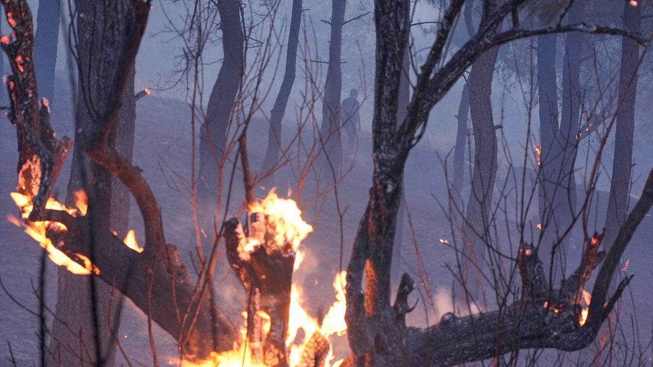 İzmir Bornova'da Orman Yangınına Müdahale