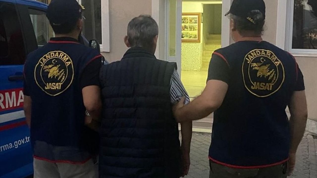 İzmir'de Sahipsiz Hayvanlara Yönelik Zehirli Yiyecek Olayında Tutuklama