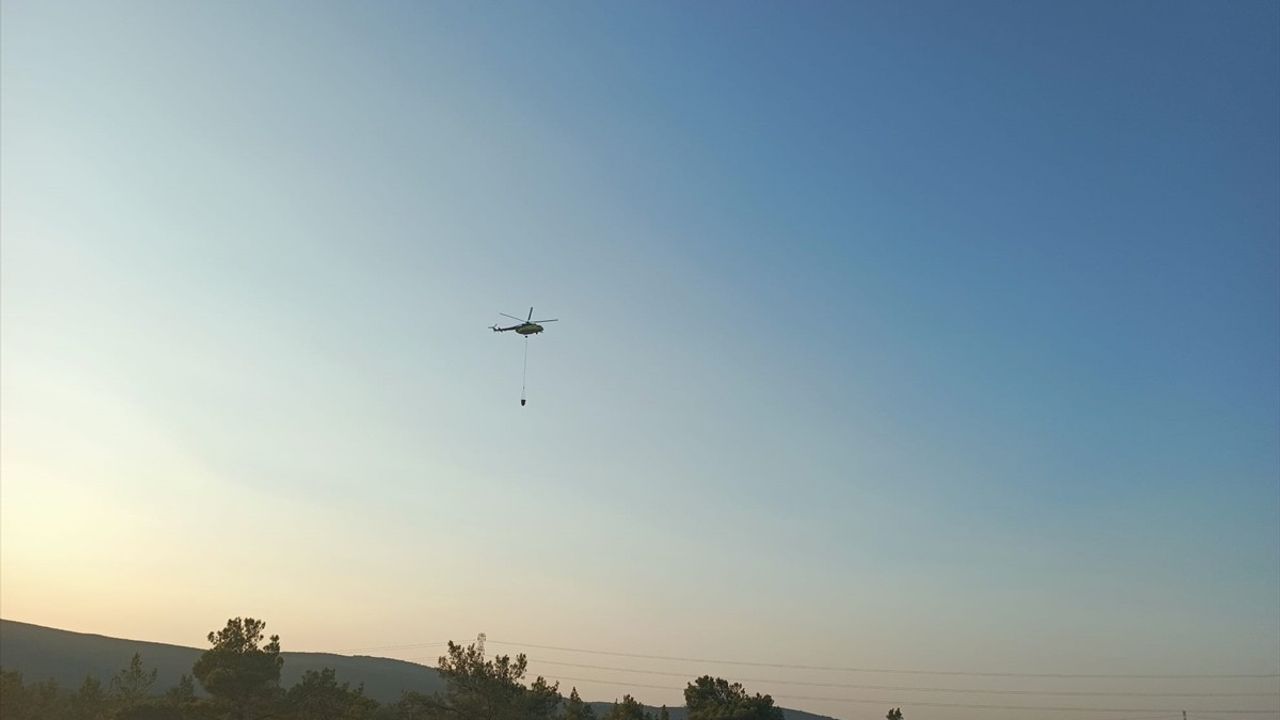 İzmir'de Tarım Alanındaki Yangın Kontrol Altında