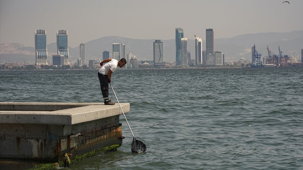 İzmir Körfezi'nde Balık Ölümleri Yeniden Başladı