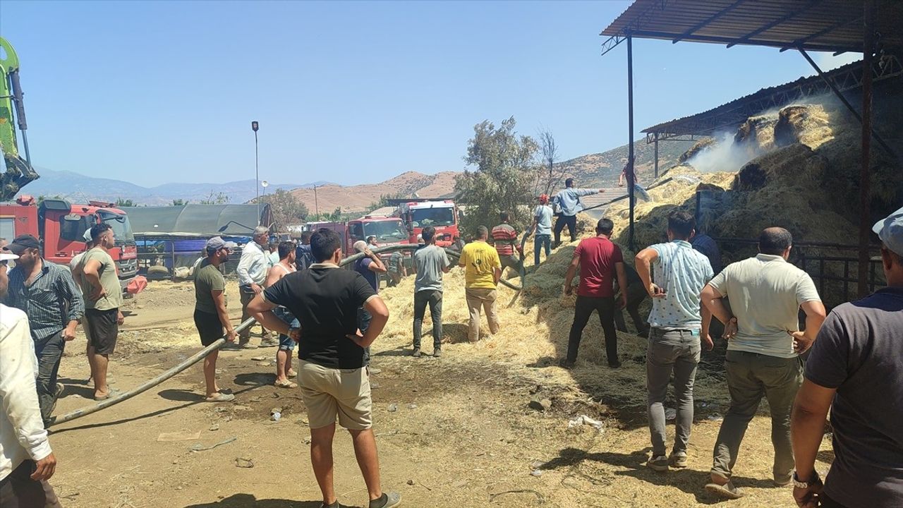 İzmir Ödemiş'te çiftlik yangını: 16 büyükbaş telef, ~500 balya saman yandı