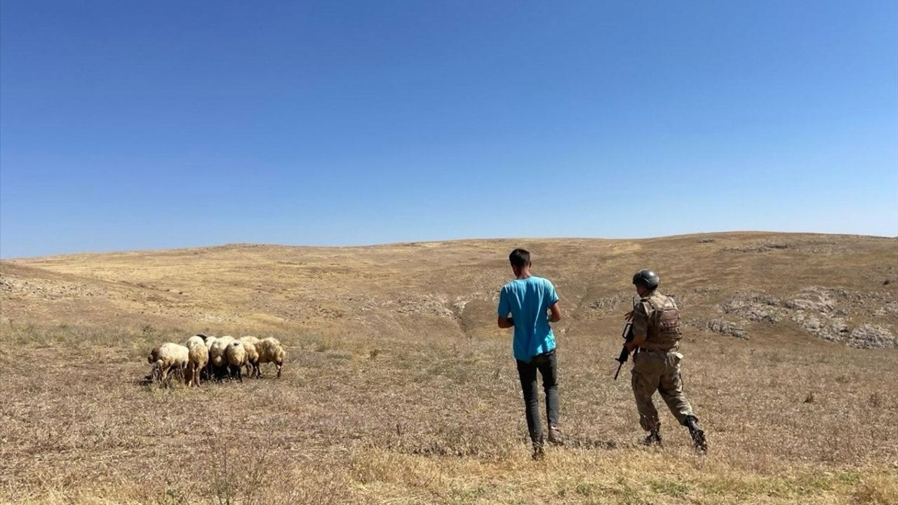 Jandarma Dronu ile Kayıp Koyunlar Bulundu