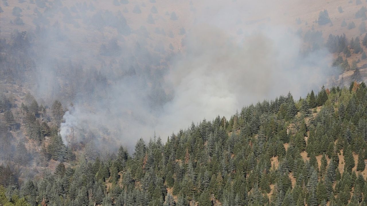 Kahramanmaraş'taki Orman Yangınına Hızlı Müdahale