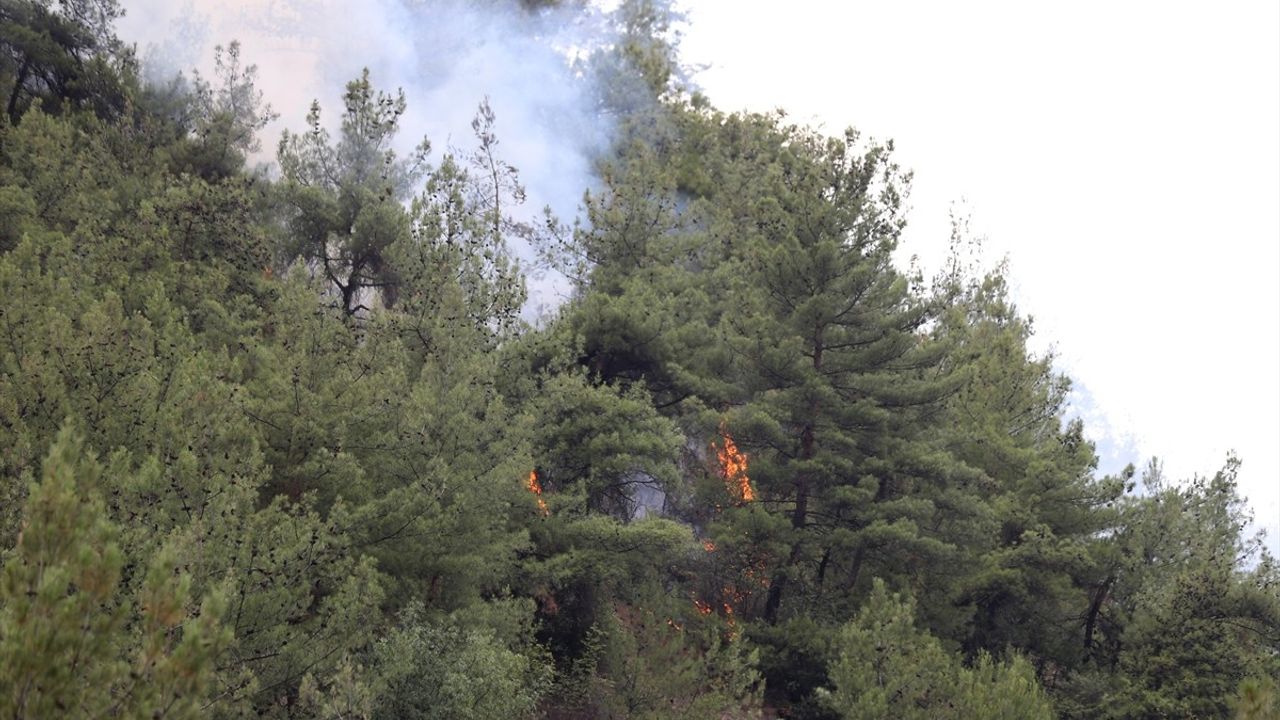 Karabük'teki Orman Yangını Kontrol Altına Alındı