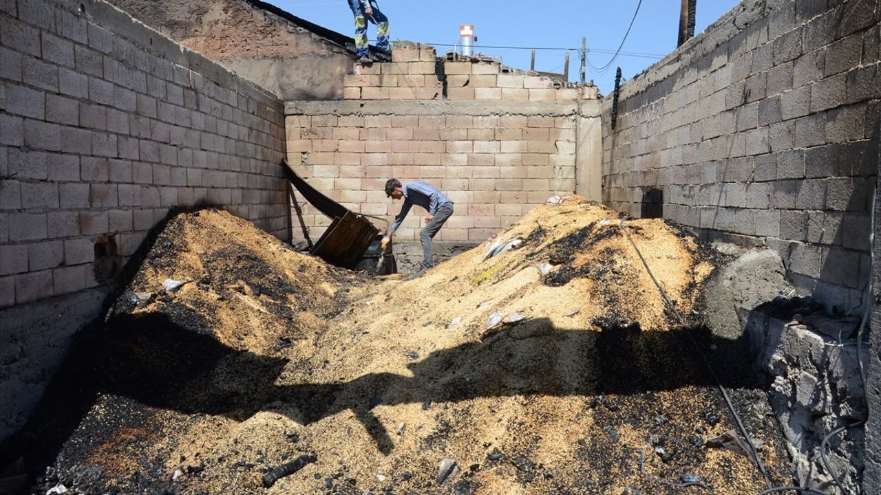 Kars'ta Yangın Felaketi: Bir Ev ve İki Samanlık Yandı