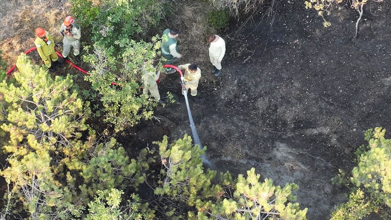 Kastamonu'daki Orman Yangını Kontrol Altına Alındı