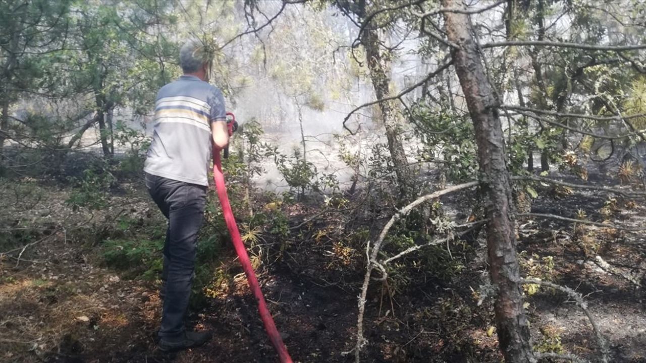 Kastamonu Orman Yangını Kontrol Altına Alındı