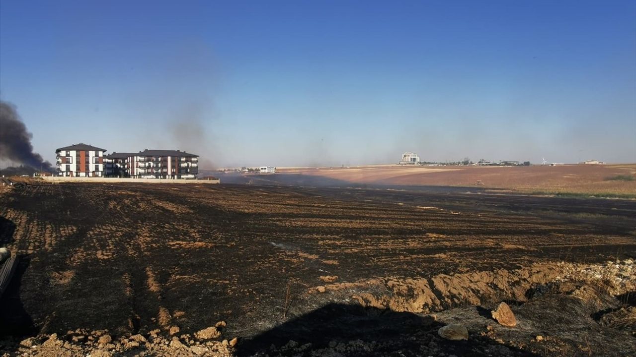 Kırklareli'nde Anız Yangını Kontrol Altına Alındı
