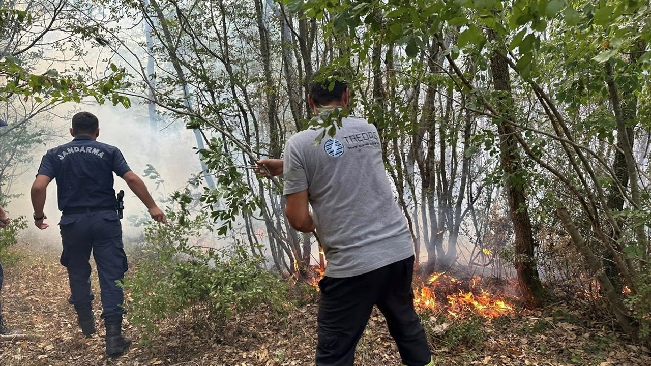 Kırklareli'ndeki Orman Yangını Kontrol Altına Alındı